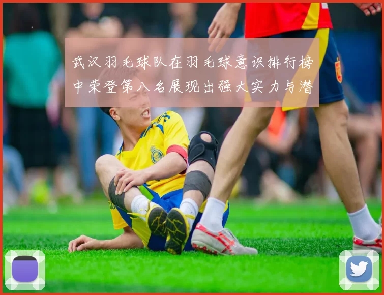 武汉羽毛球队在羽毛球意识排行榜中荣登第八名展现出强大实力与潜力