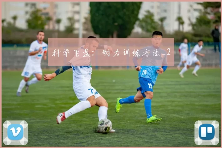 科学飞盘：耐力训练方法_2