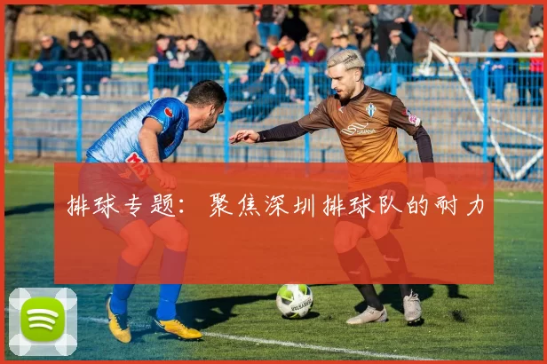 排球专题：聚焦深圳排球队的耐力