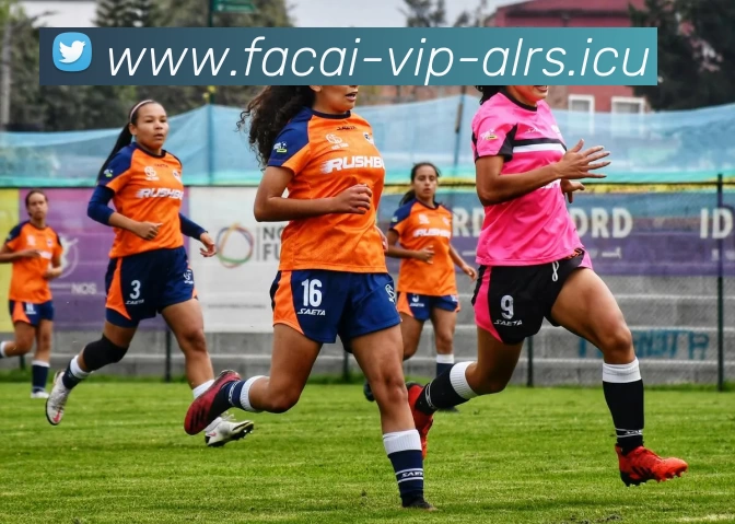 乐鱼体育APP 封面图